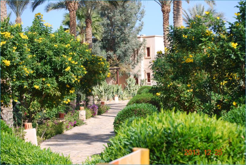 sharm 12 096